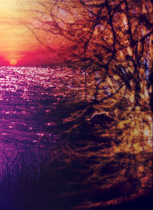 A sunset