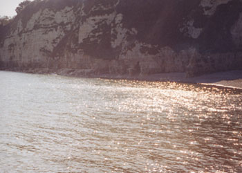 Original Water